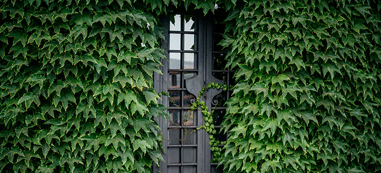 Garden Gate Repair in Princeton, FL