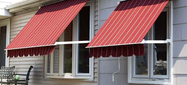 Government Rebate Window Replacement in Princeton, FL