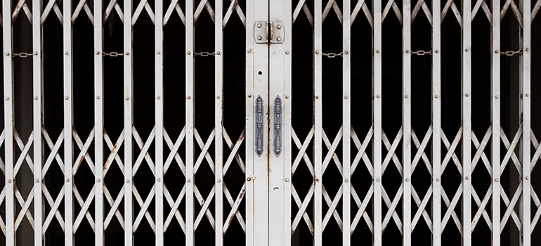 Steel Line Garage Door Repairs in Princeton, FL