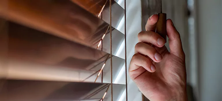 Double Roller Blinds in Princeton, FL