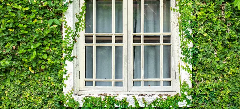 Garden Window Repair Near Me in Princeton, FL