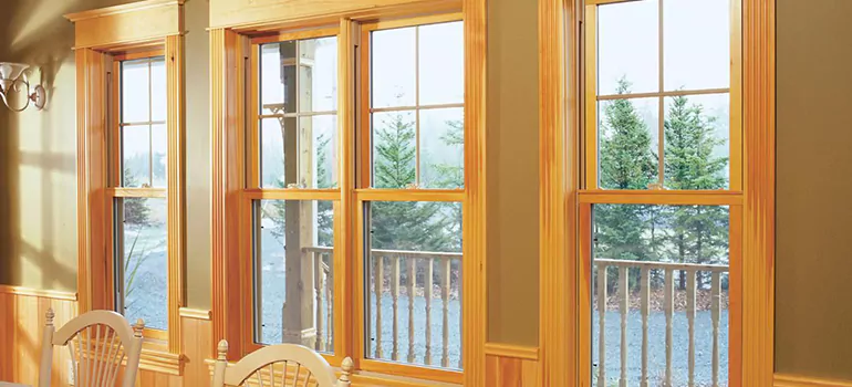 Government Incentives For Replacement Windows in Princeton, FL