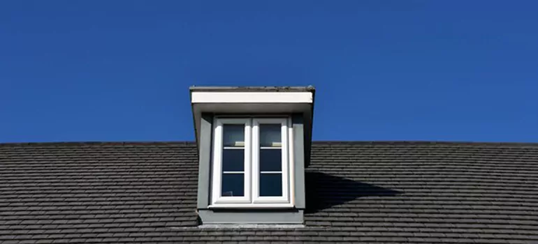 Roof Window Installation in Princeton, FL