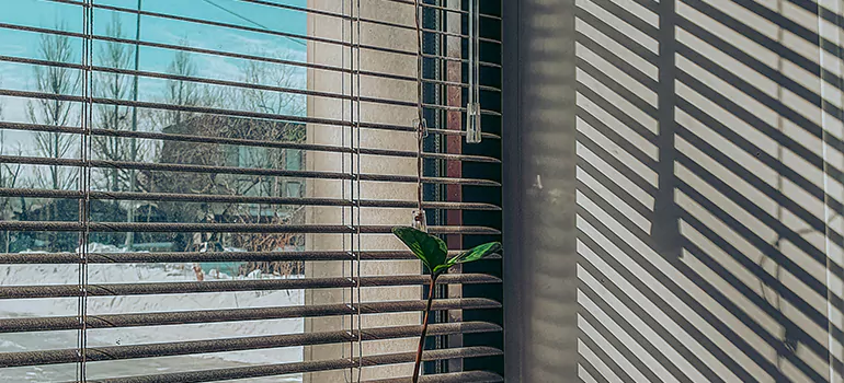 Commercial Window Blinds in Princeton, FL