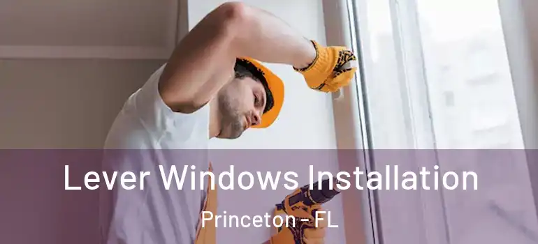  Lever Windows Installation Princeton - FL