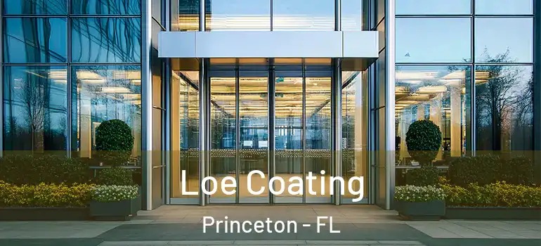  Loe Coating Princeton - FL