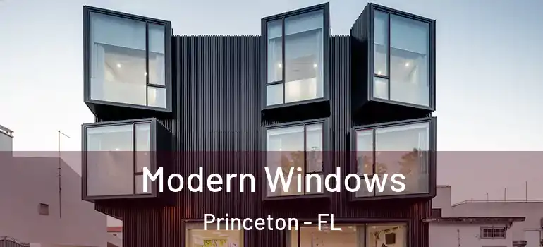  Modern Windows Princeton - FL