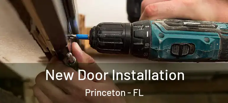  New Door Installation Princeton - FL