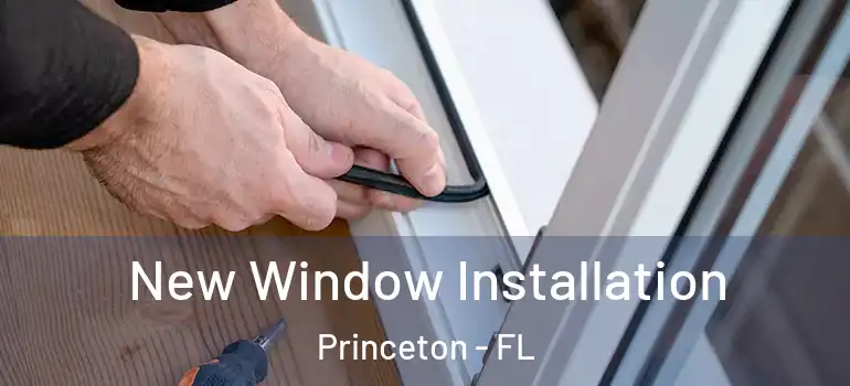 New Window Installation Princeton - FL