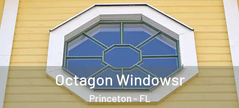  Octagon Windowsr Princeton - FL