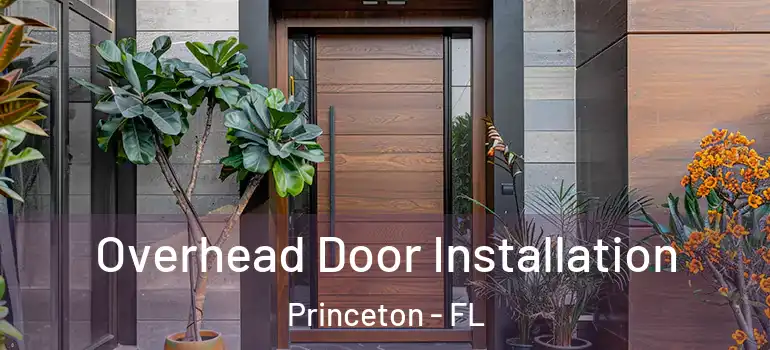  Overhead Door Installation Princeton - FL