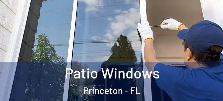  Patio Windows Princeton - FL