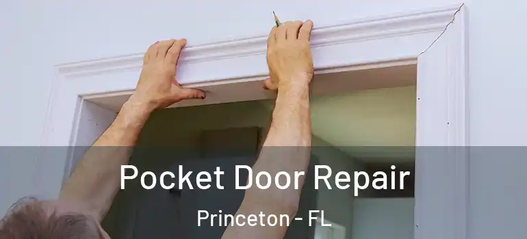  Pocket Door Repair Princeton - FL