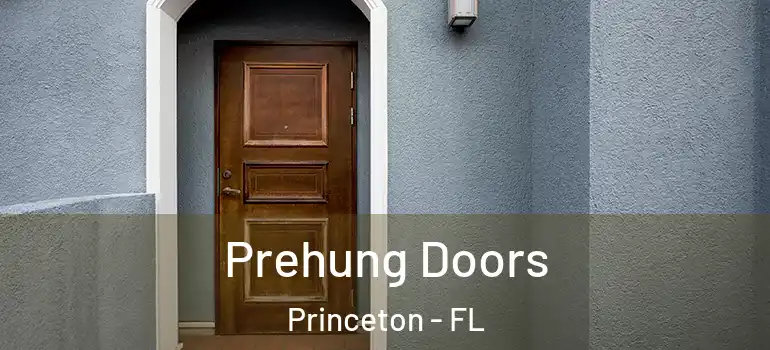  Prehung Doors Princeton - FL