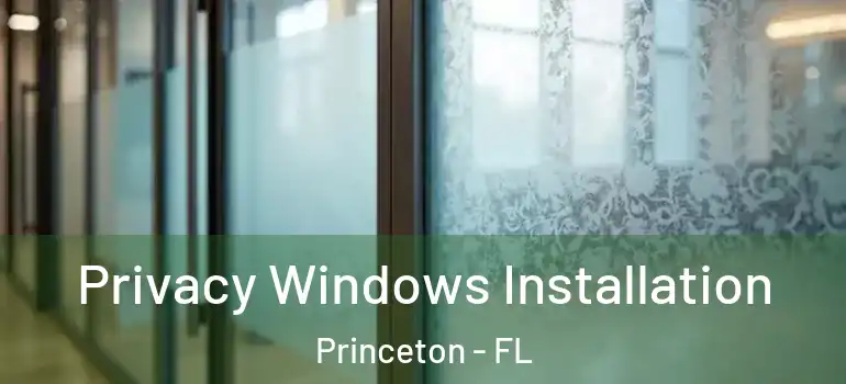  Privacy Windows Installation Princeton - FL