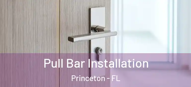  Pull Bar Installation Princeton - FL