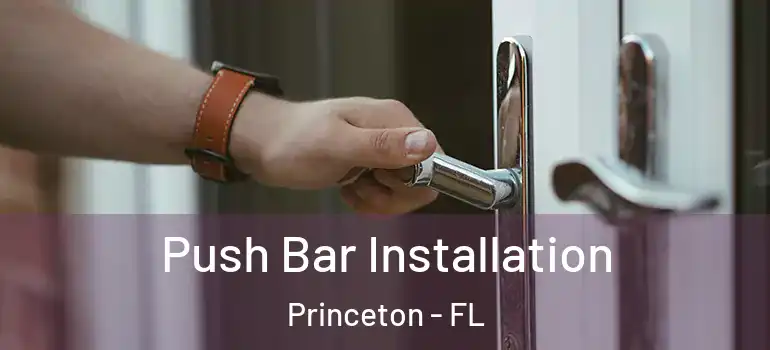  Push Bar Installation Princeton - FL