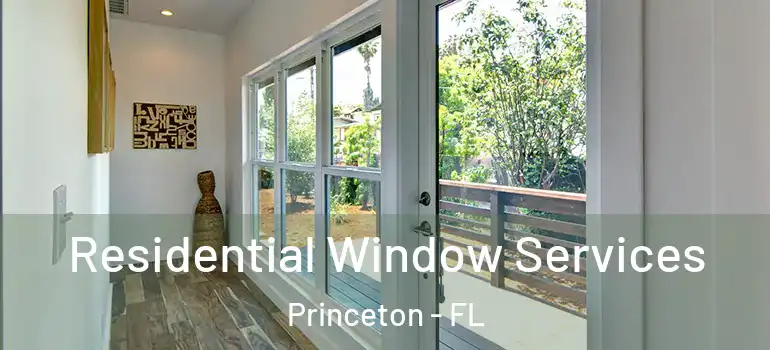  Residential Window Services Princeton - FL