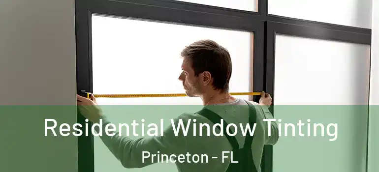  Residential Window Tinting Princeton - FL