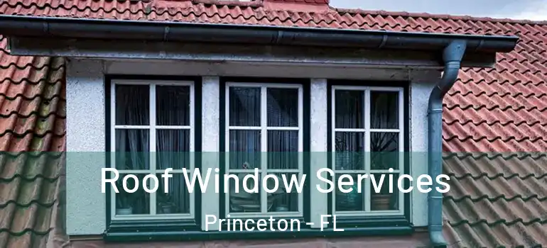  Roof Window Services Princeton - FL