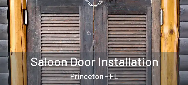  Saloon Door Installation Princeton - FL