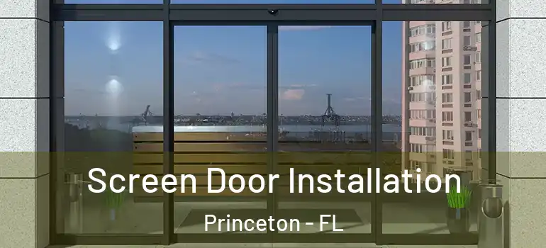  Screen Door Installation Princeton - FL