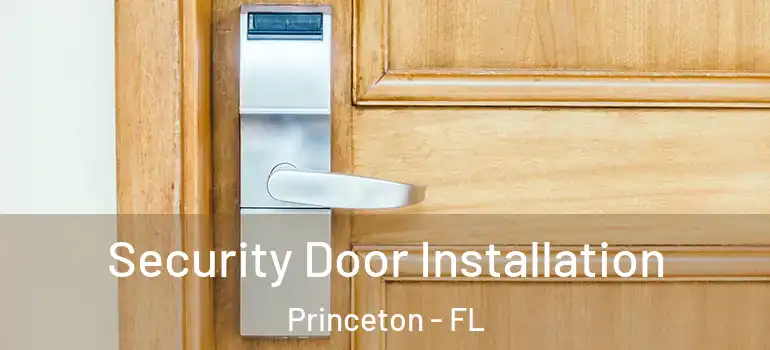  Security Door Installation Princeton - FL