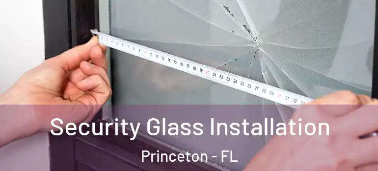  Security Glass Installation Princeton - FL
