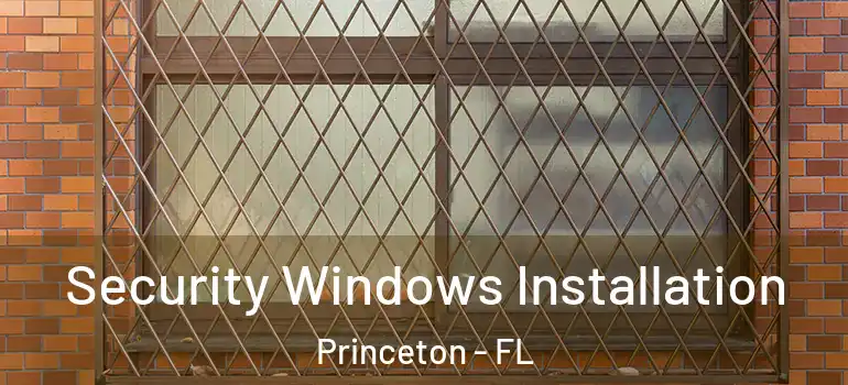  Security Windows Installation Princeton - FL