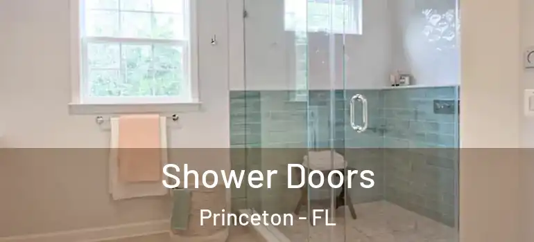  Shower Doors Princeton - FL