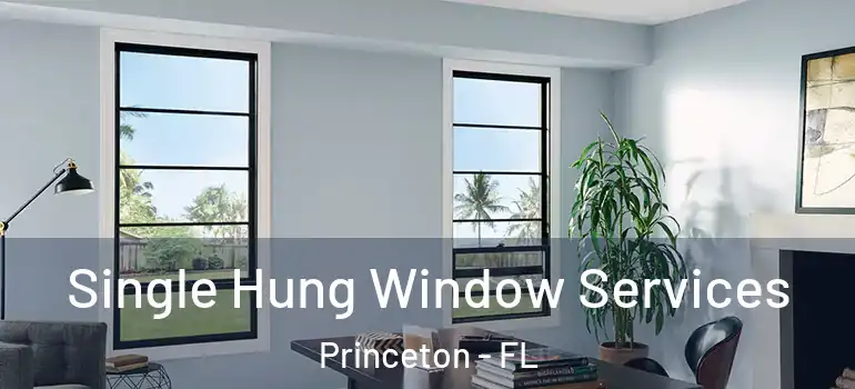  Single Hung Window Services Princeton - FL