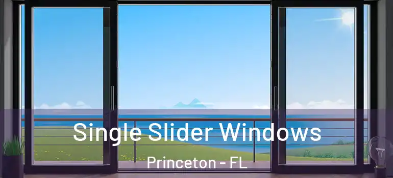  Single Slider Windows Princeton - FL