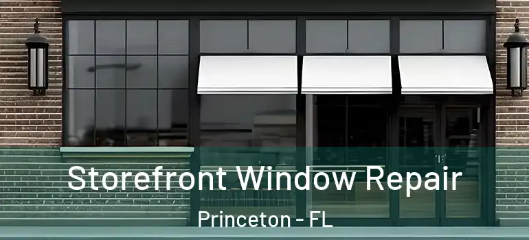  Storefront Window Repair Princeton - FL