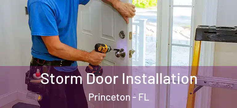  Storm Door Installation Princeton - FL