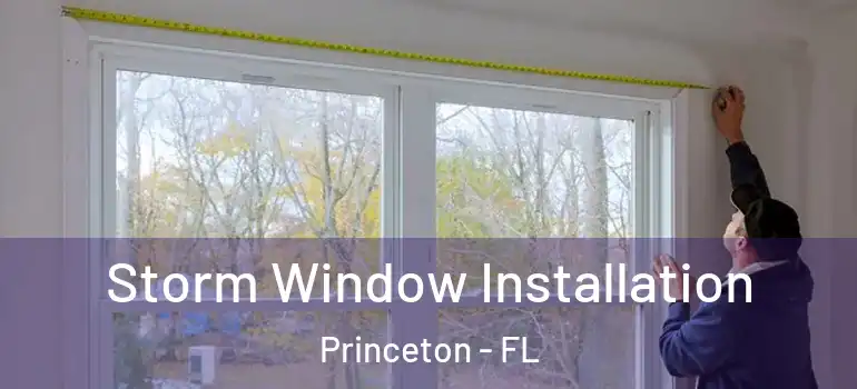  Storm Window Installation Princeton - FL