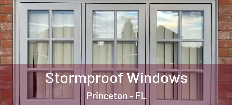  Stormproof Windows Princeton - FL