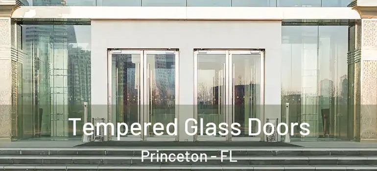  Tempered Glass Doors Princeton - FL