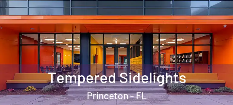  Tempered Sidelights Princeton - FL