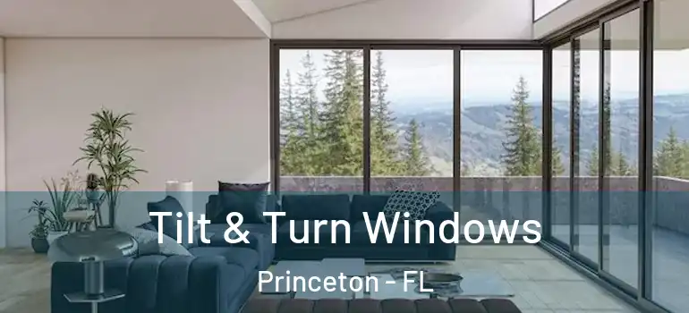  Tilt & Turn Windows Princeton - FL