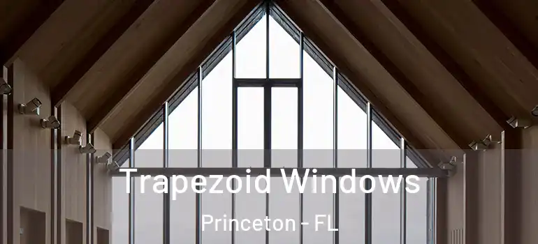  Trapezoid Windows Princeton - FL