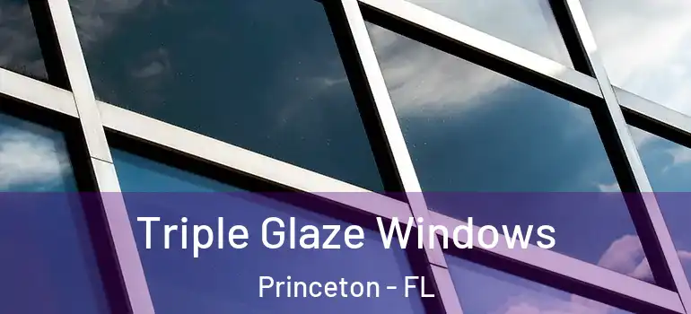  Triple Glaze Windows Princeton - FL