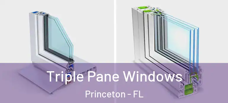  Triple Pane Windows Princeton - FL