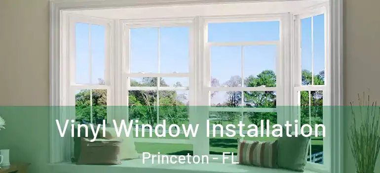  Vinyl Window Installation Princeton - FL