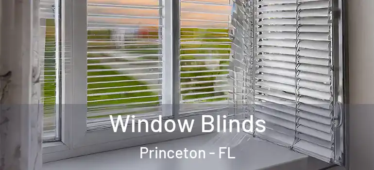  Window Blinds Princeton - FL