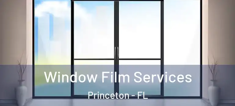  Window Film Services Princeton - FL