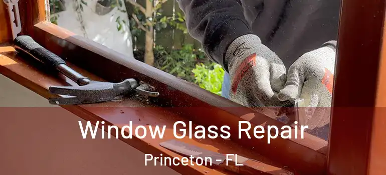 Window Glass Repair Princeton - FL