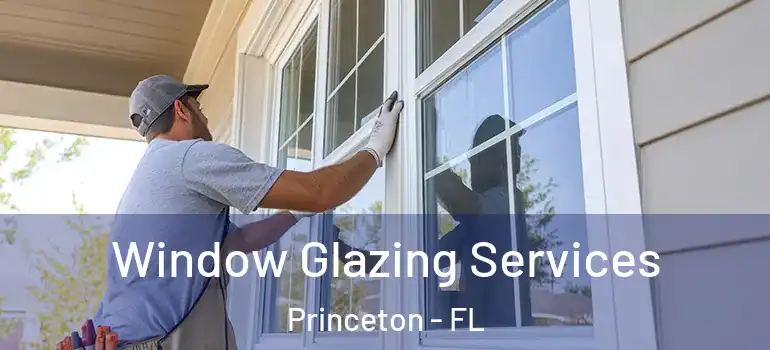  Window Glazing Services Princeton - FL