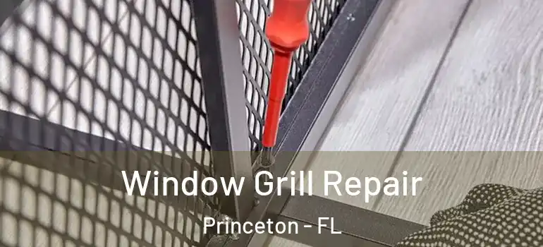  Window Grill Repair Princeton - FL