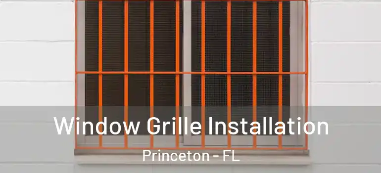  Window Grille Installation Princeton - FL