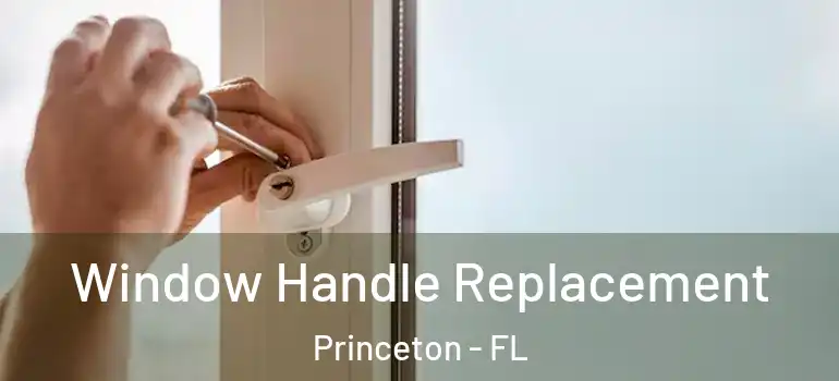  Window Handle Replacement Princeton - FL